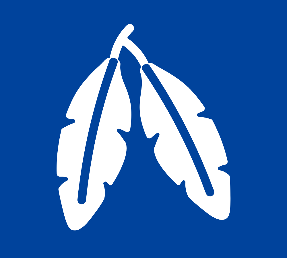 A drawing of two feathers hanged upside down.